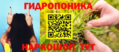 меф Камышлов