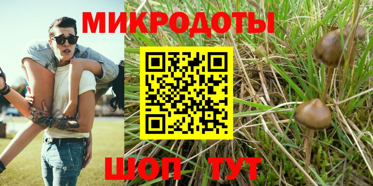Галлюциногенные грибы Cubensis  Вход с VPN  Краснокамск 